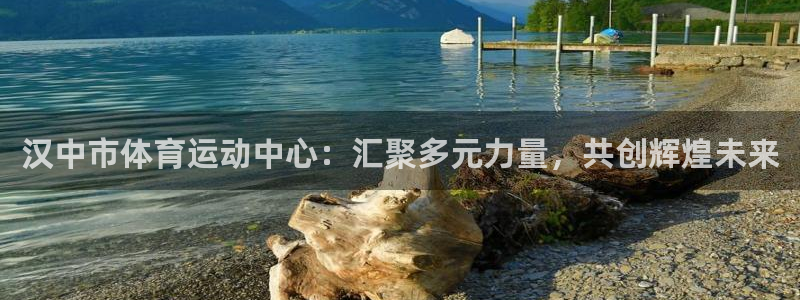 尊龙官方正版app娱乐平台：汉中市体育运动中心：汇聚