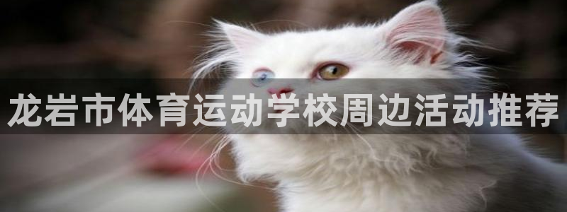 尊龙官网下载招商电话地址