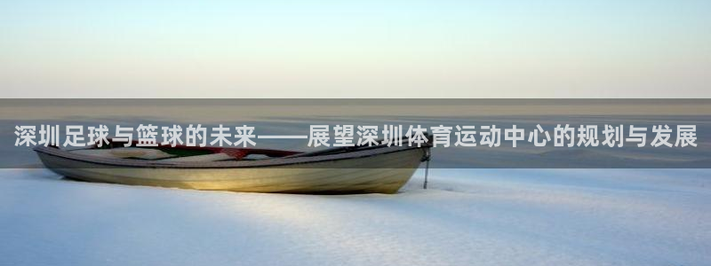 德国尊龙官方正版app集团：深圳足球与篮球的未来——
