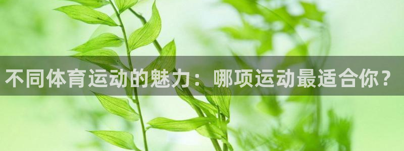 尊龙官方正版app娱乐网站