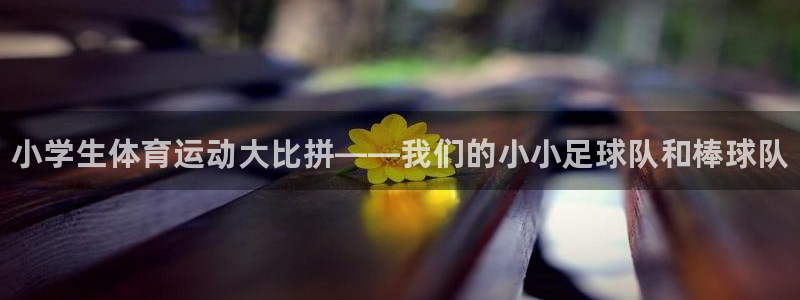 尊龙官方正版app代理：小学生体育运动大比拼——我们的小小足