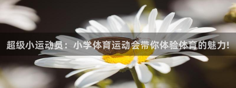 尊龙官网下载招商电话号码是多少：超级小运动员：小学体育运动会