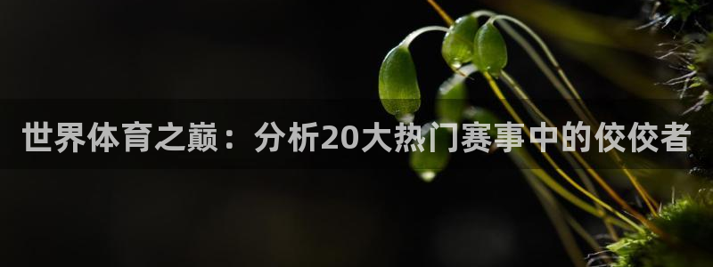 尊龙官网下载开户：世界体育之巅：分析20大热门赛事中的佼佼者