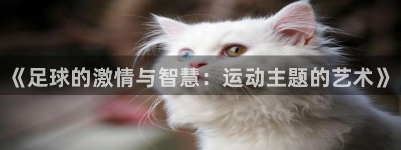尊龙官网下载娱乐：《足球的激情与智慧：运动主题的艺术》