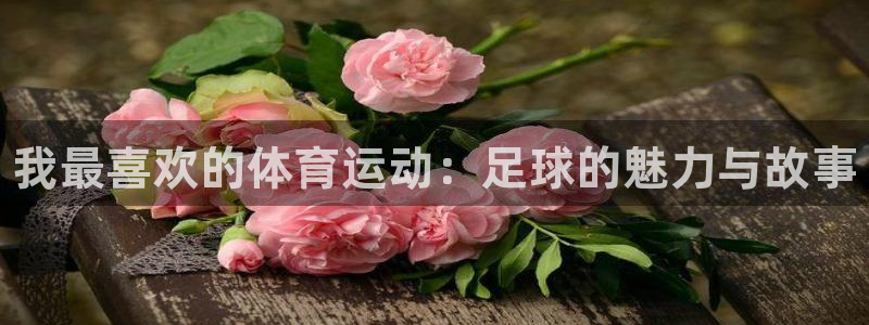 尊龙官网下载平台注册流程图：我最喜欢的体育运动：足球的魅力与