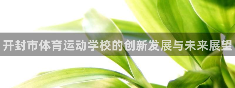 尊龙官方正版app娱乐下载：开封市体育运动学校的创新发展与未