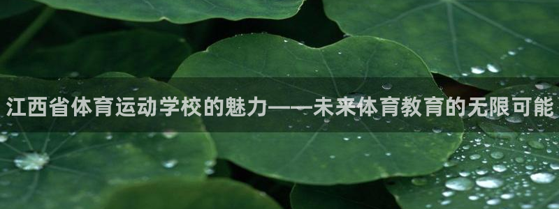 尊龙官网下载招商