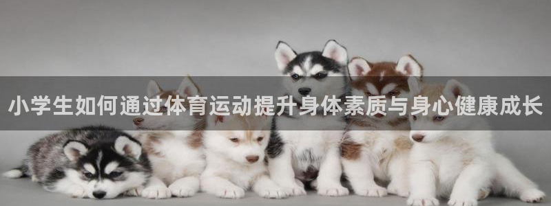 尊龙官网下载平台是正规平台吗知乎