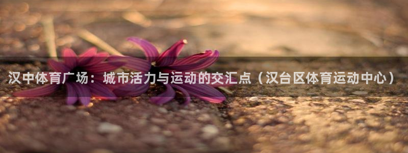 尊龙官网下载平台注册流程视频：汉中体育广场：城市活力