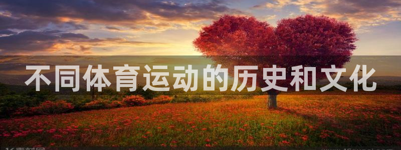 尊龙官网下载平台注册要钱吗：不同体育运动的历史和文化