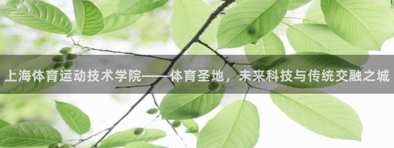 海南尊龙官网下载：上海体育运动技术学院——体育圣地，