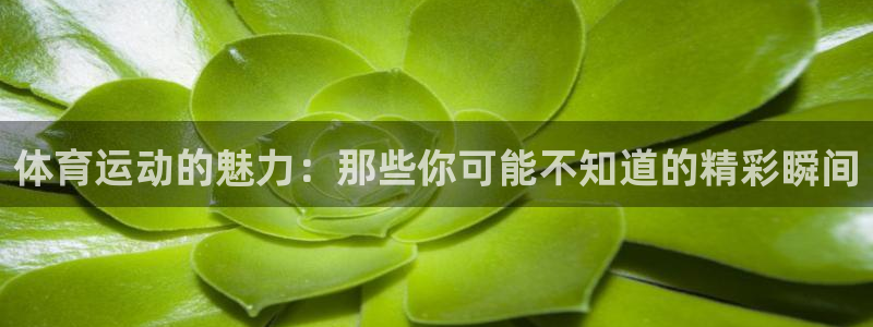 尊龙官网下载注册：体育运动的魅力：那些你可能不知道的精彩瞬间