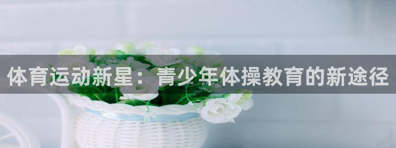 注册尊龙官方正版app：体育运动新星：青少年体操教育