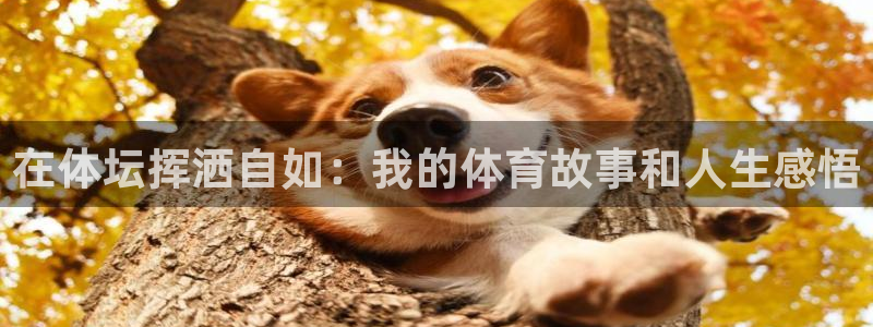 尊龙官方正版app开户：在体坛挥洒自如：我的体育故事和人生感