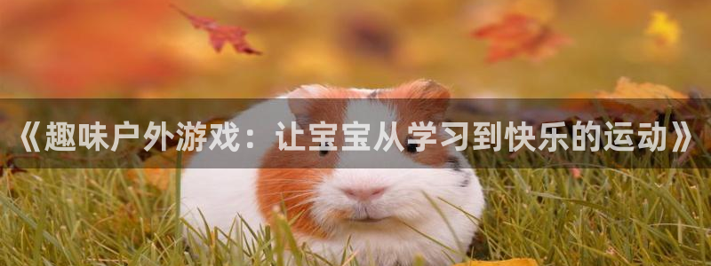 尊龙官方正版app开户