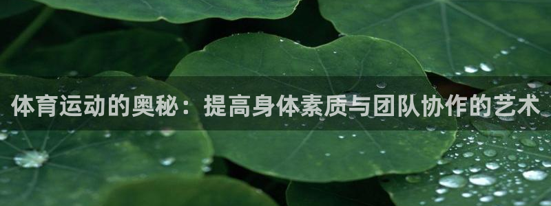 尊龙官方正版app五金厂：体育运动的奥秘：提高身体素质与团队