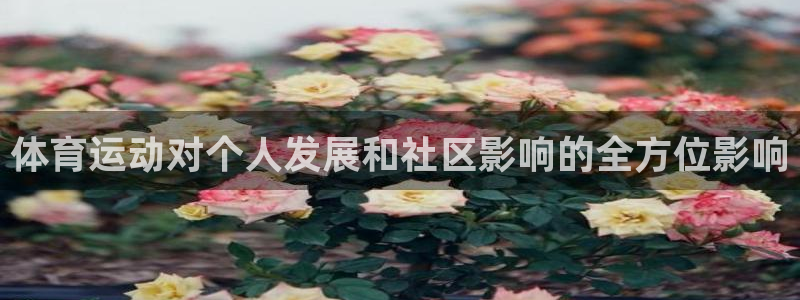 尊龙官方平台体育：体育运动对个人发展和社区影响的全方位影响
