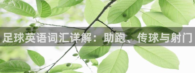 海南尊龙官网下载发展怎么样：足球英语词汇详解：助跑、