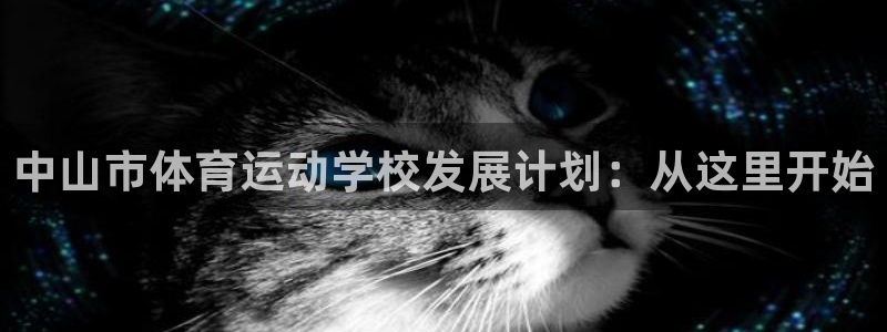 尊龙官网下载招商电话号码查询：中山市体育运动学校发展