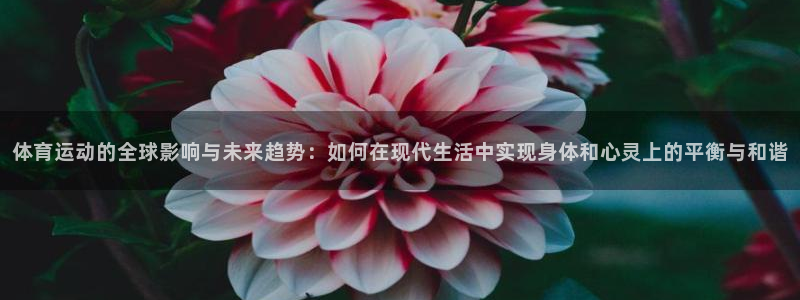 尊龙官网下载平台注册要钱吗：体育运动的全球影响与未来