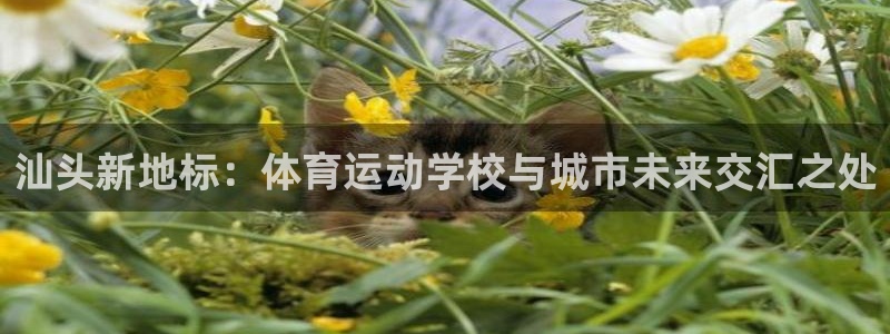 尊龙官方正版app集团logo：汕头新地标：体育运动学校与城