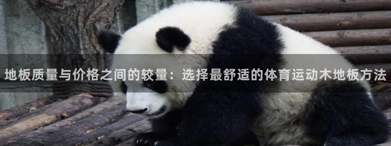 尊龙官网下载软件：地板质量与价格之间的较量：选择最舒适的体育