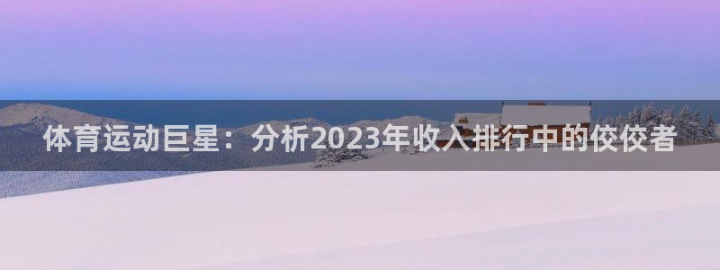 尊龙官方正版app娱乐40996：体育运动巨星：分析2023