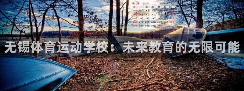 尊龙官网下载软件：无锡体育运动学校：未来教育的无限可