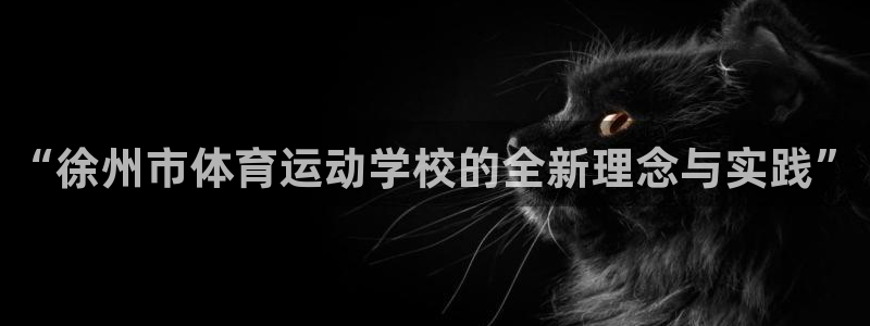 尊龙官方正版app娱乐代理怎么样