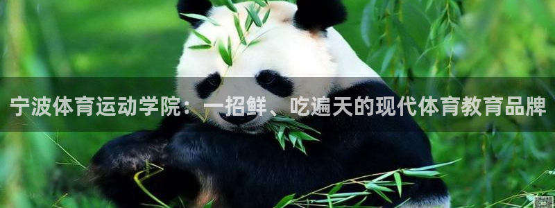 尊龙官方正版app集团官网网址：宁波体育运动学院：一招鲜、吃