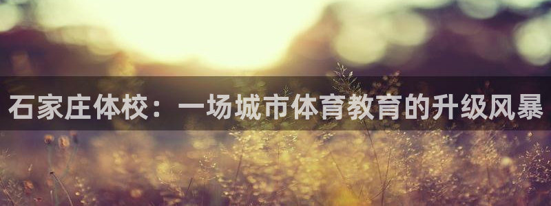 尊龙官方正版app集团E.ON