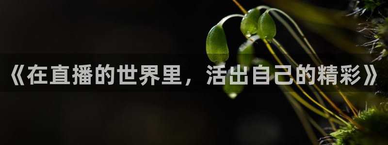 河豚体育赛事直播：《在直播的世界里，活出自己的精彩》