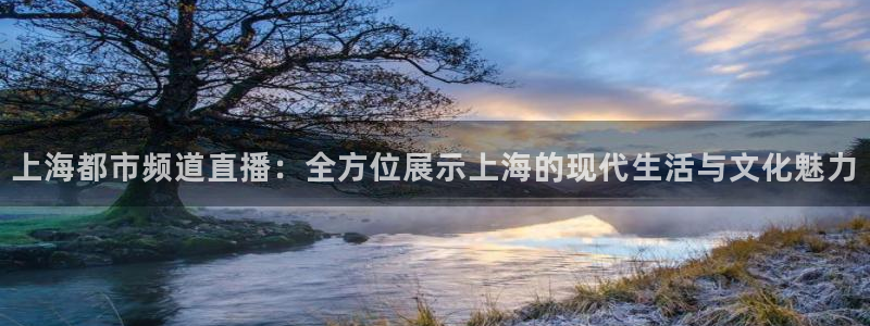 河豚视频：上海都市频道直播：全方位展示上海的现代生活与文化魅力