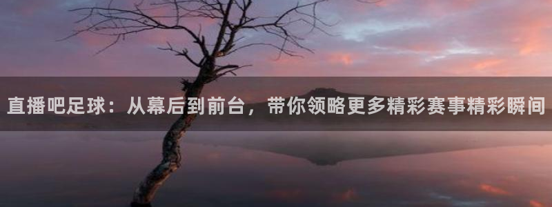 河豚体育在线直播nba：直播吧足球：从幕后到前台，带你领略更多精彩赛事精彩瞬间
